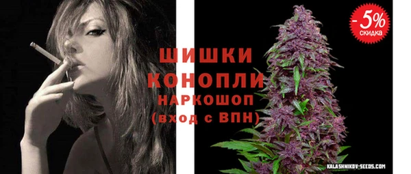 ГАЛЛЮЦИНОГЕННЫЕ ГРИБЫ Богданович
