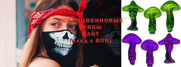 ГАЛЛЮЦИНОГЕННЫЕ ГРИБЫ Богданович