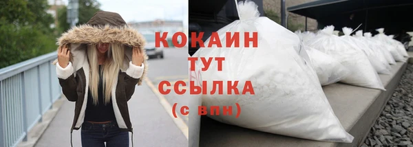 ГАЛЛЮЦИНОГЕННЫЕ ГРИБЫ Богданович