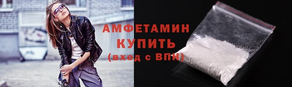шишки Бородино
