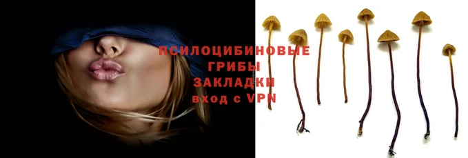 шишки Бородино