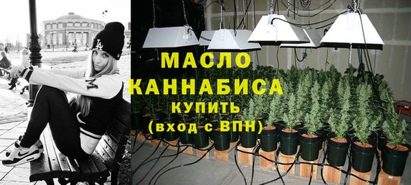 шишки Бородино