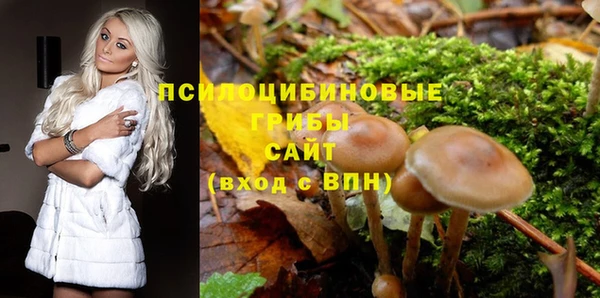 ПСИЛОЦИБИНОВЫЕ ГРИБЫ Беломорск
