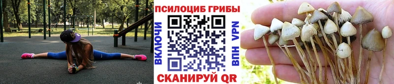 Псилоцибиновые грибы Cubensis  где купить наркоту  Елабуга 